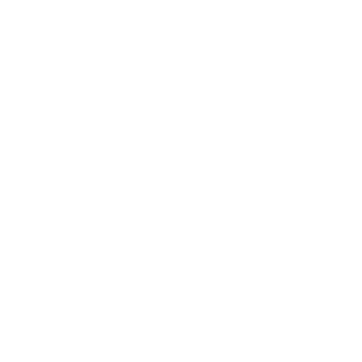 lkw